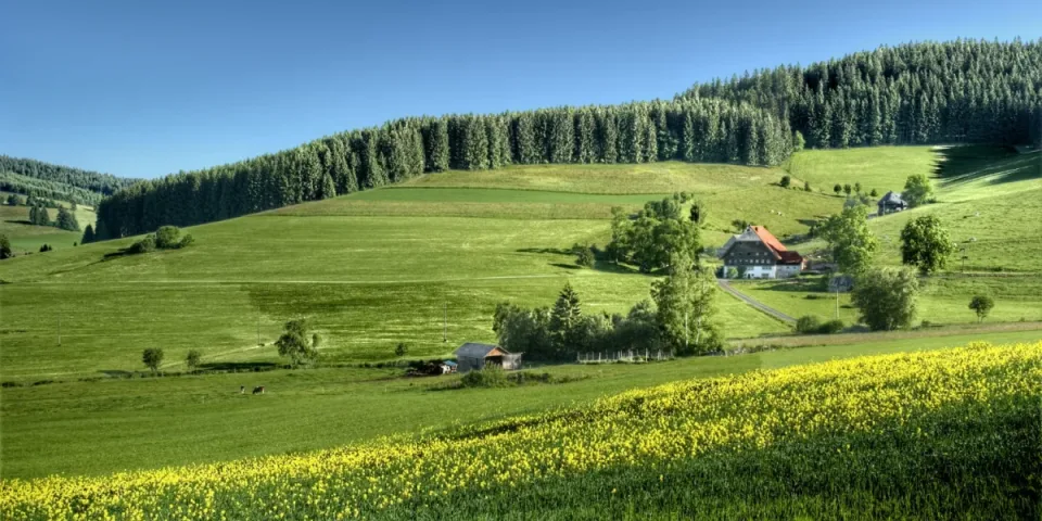 Audyt emisji gazów cieplarnianych — metody, standardy i raportowanie