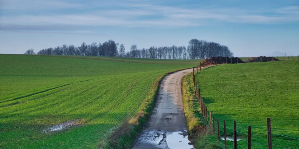 Obowiązki hurtowni i dystrybutorów wobec VerpackG — praktyczny przewodnik